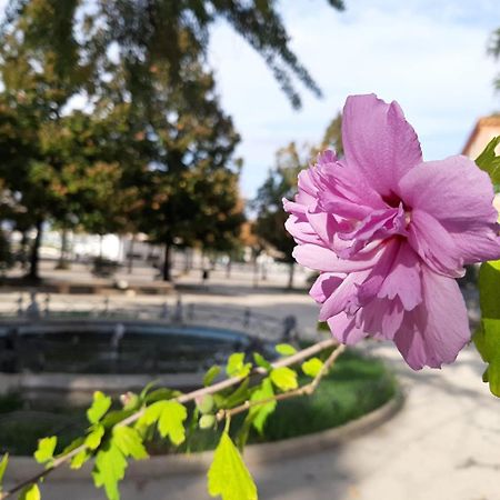 Apartmán Casa Andrea Tra Napoli E Sorrento Castellammare di Stabia Exteriér fotografie