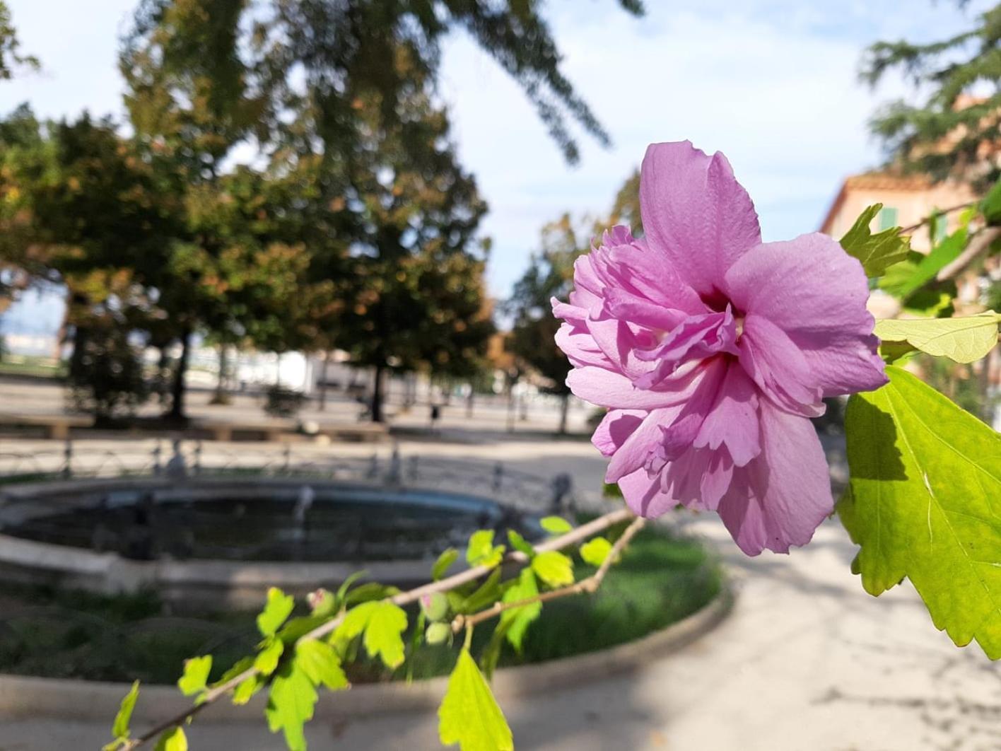 Apartmán Casa Andrea Tra Napoli E Sorrento Castellammare di Stabia Exteriér fotografie
